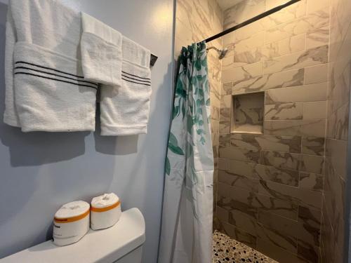 亚历山德里亚Majestic 4B Retreat on King St-5 Mins Walk Metro的浴室配有淋浴和带毛巾的卫生间。
