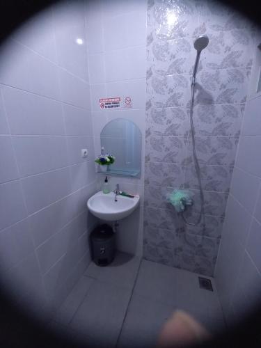 SukoharjoBELLA NINE EXCLUSIVE HOMESTAY的一间带水槽和淋浴的小浴室