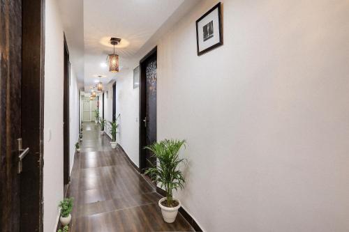 新德里Super OYO Hotel Mannat Near Lotus Temple的一条种植了盆栽植物的走廊和一条带白色墙壁的走廊