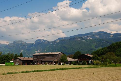 MäderFerienhof Kopf的一座农场,有田野和山地背景