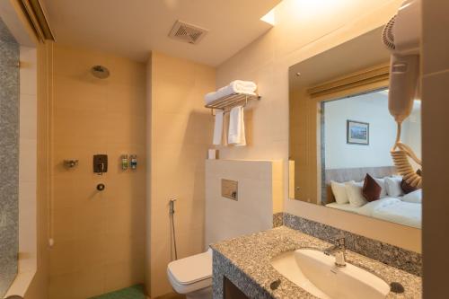 加德满都Hotel Crystal Pashupati的一间带水槽、卫生间和镜子的浴室