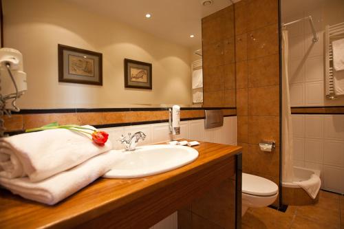 格丁尼亚薇拉卢比奇酒店的一间带水槽和卫生间的浴室