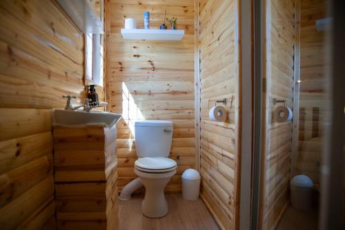 BonnievaleOlifantskrans River Cabins的木制浴室设有卫生间和水槽