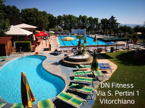 维托尔基亚诺Casetta dei Nonni的度假村的游泳池,配有草坪椅和遮阳伞