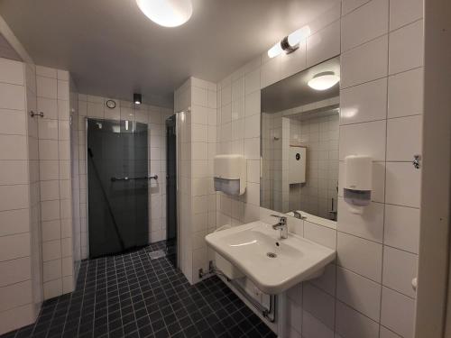 GräddöSTF卡佩尔斯卡乡村民宿的一间带水槽、淋浴和镜子的浴室