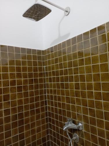 阿布辛贝El baladi的浴室设有棕色瓷砖和淋浴。