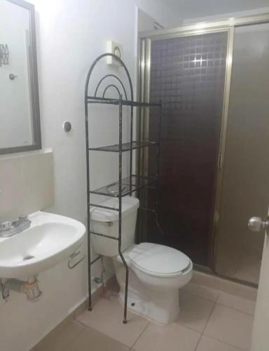 Tierra BlancaAmuebladon的浴室配有卫生间、盥洗盆和淋浴。