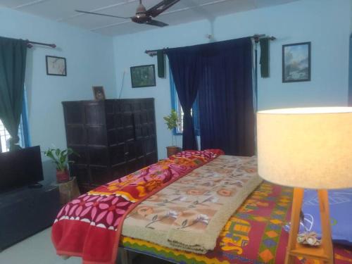 达兰萨拉The Oasis Terrace at Rana's Niwas的一间卧室配有一张床和一盏灯