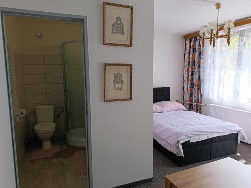 耶什赫维采Pension U Stašáků的一间卧室配有一张床,浴室设有卫生间