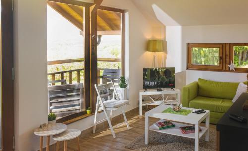 SopotLIPA houses & spa的客厅配有绿色沙发和电视
