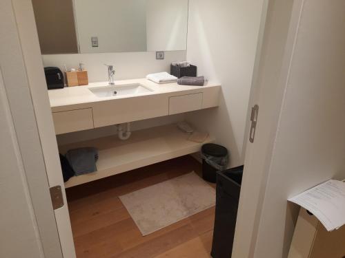赫尔Business Accommodation 'Loft' Intimate的一间带水槽和镜子的浴室
