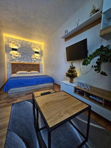 帕内韦日斯R&J Apartment II的一间卧室配有一张床、一台电视和一张桌子