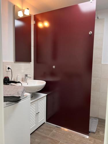 罗斯托克Exklusives Business & Living Apartment的一间带红色门和水槽的浴室
