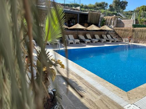 伊兹密尔STONE HOUSE BUTİK OTEL的一个带躺椅的游泳池,一个度假村
