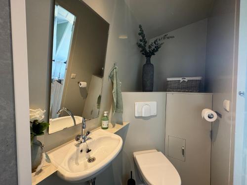 维灵厄韦夫Hotelhuisjes Medemblik的一间带水槽、卫生间和镜子的浴室