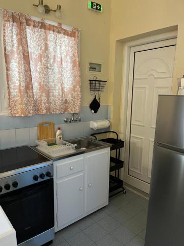 阿普索斯Studio Vasilis的厨房配有水槽和冰箱