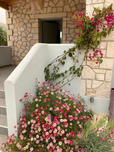 利萨基亚Black Pearl Apartment Lithakia Zakynthos的楼梯箱上的一束鲜花