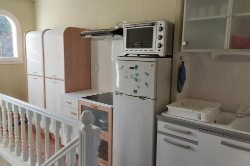 圣弗卢尔Grand T1 meublé的小厨房配有冰箱和微波炉。