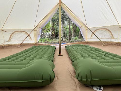 格兰瑟姆WoodLands Basic Bell Tent的帐篷里一排绿色枕头