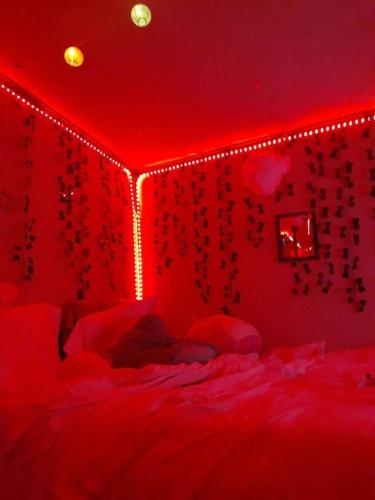 拉巴斯SpicyGameRoom的红色的房间,配有红色灯床