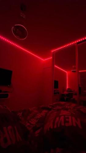 拉巴斯SpicyGameRoom的一间房间,床上有红灯