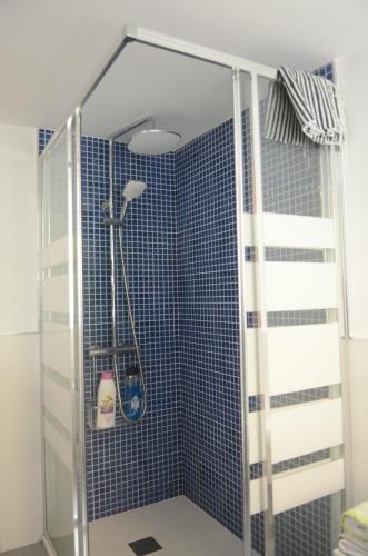 卢阿尔卡La Casina de Luarca的浴室设有蓝色瓷砖淋浴。