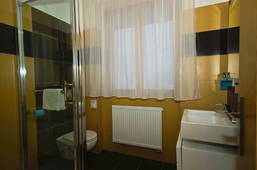 鲁容贝罗克Hotel Malina***的一间带卫生间和水槽的浴室