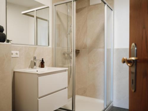 罗伊特Ehrenberg Apartments的一间带水槽和淋浴的浴室