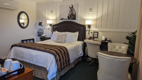 AmherstAmherst Inn - Virginia的配有一张床和一张书桌的酒店客房