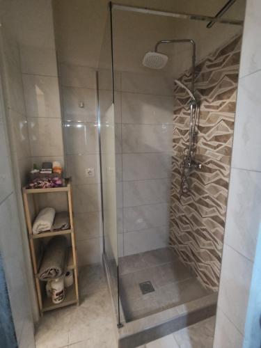 塞萨洛尼基Studio Luxury Maria Xoulia的浴室里设有玻璃门淋浴