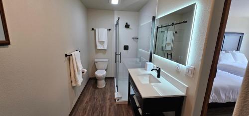 Eagle RiverEagle River Lodge的一间带水槽、卫生间和镜子的浴室