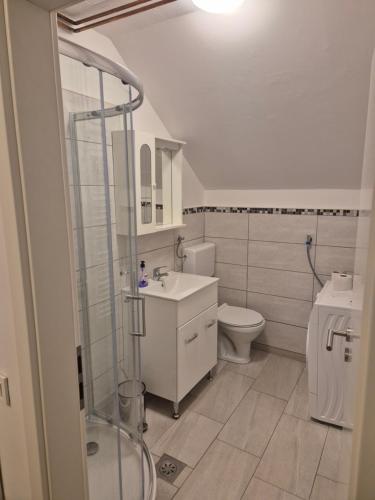 卢布尔雅那Orhidea的浴室配有卫生间、盥洗盆和淋浴。