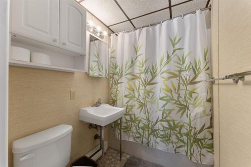 威尔伍德克拉斯特404 E Denver Ave, Unit 403的浴室配有淋浴帘和盥洗盆。