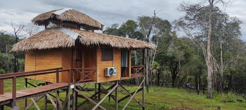IrandubaBioma EcoLodge的茅草屋顶的小型木制小屋