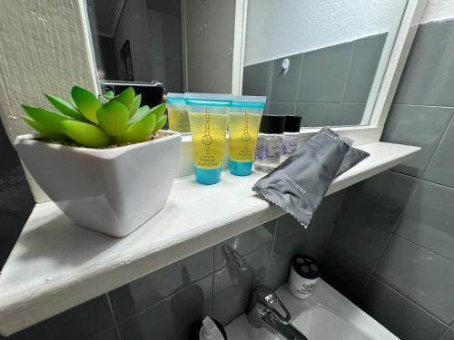 克桑西Best minimal studio in Xanthi - myHomee的带有植物和玻璃杯的浴室架