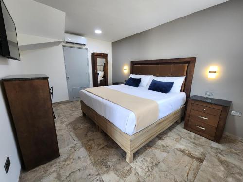 托雷翁Hotel Roque的一间卧室配有一张大床和电视