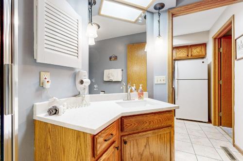 威斯康星戴尔Light House 603的一间带水槽和冰箱的浴室