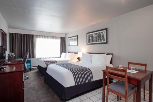 卡什克里克卡什克里克桑德曼酒店的配有一张床和一张书桌的酒店客房
