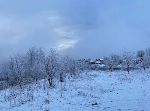 古多里Gudauri Deka House的一片积雪覆盖着树木和房屋的田野