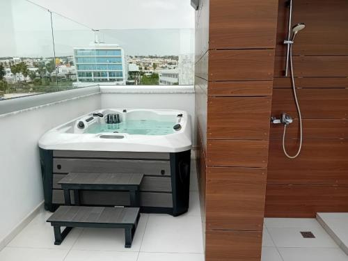 阿依纳帕City Napa Seaview Villas的一间带水槽和淋浴及窗户的浴室
