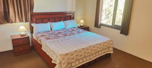 奈尼塔尔BNB Room的一间卧室配有一张带蓝色枕头的大床