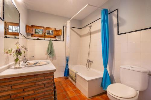 格拉纳达Casita de la Huerta的浴室配有卫生间、盥洗盆和浴缸。