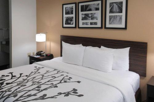 列克星敦莱克星顿司丽普酒店的酒店客房带一张大床,带白色床单