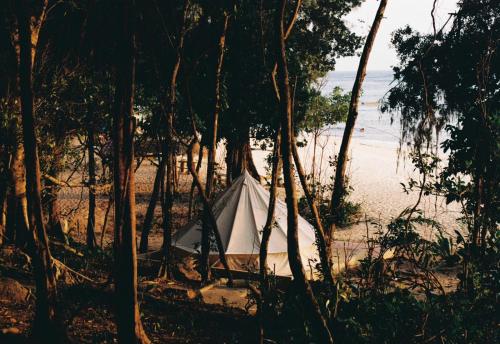 高龙撒冷岛KAMAKU Bungalows的树中间海滩上的帐篷