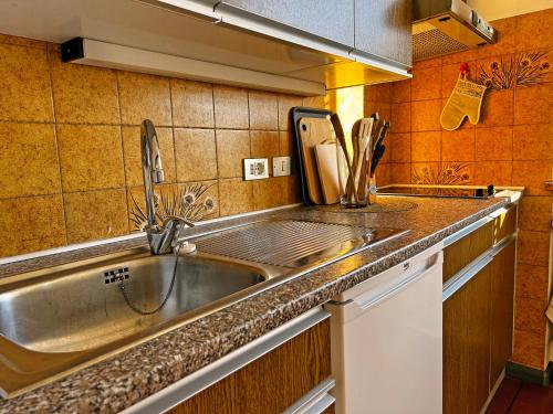 纳莱斯圣维吉尔霍夫公寓式酒店的厨房配有水槽和台面
