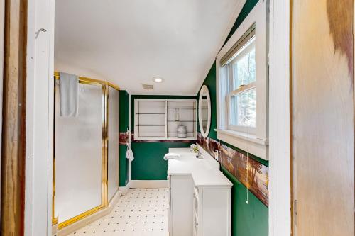 ChestertownRiver Road Retreat的浴室设有绿色的墙壁、水槽和淋浴。