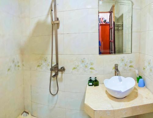 萨帕阮当住宿加早餐旅馆的一间带水槽和淋浴的浴室