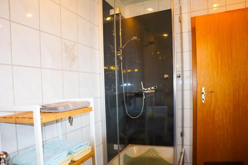 德鲁贝克Ferienwohnung Andres的带淋浴的浴室和玻璃门