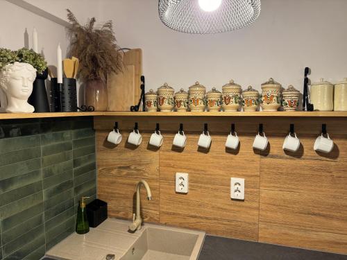普拉伊德Casa Rustik Nyaraló的厨房配有水槽和带杯子的架子