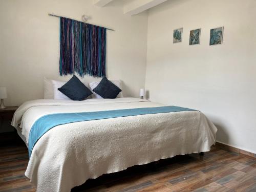 莱瓦镇Celeste Villa de Leyva的一间卧室配有一张带蓝色枕头的大床